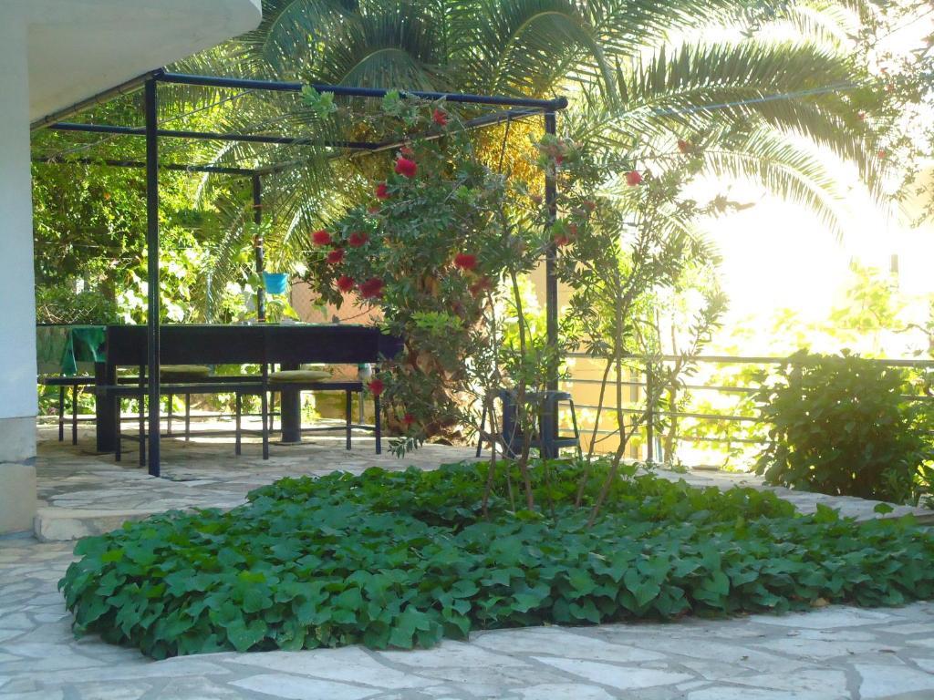 Apartments Villa Petranovic Budva Exteriör bild