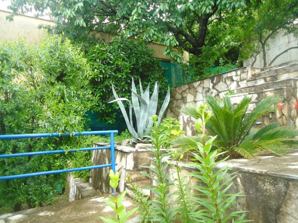 Apartments Villa Petranovic Budva Rum bild
