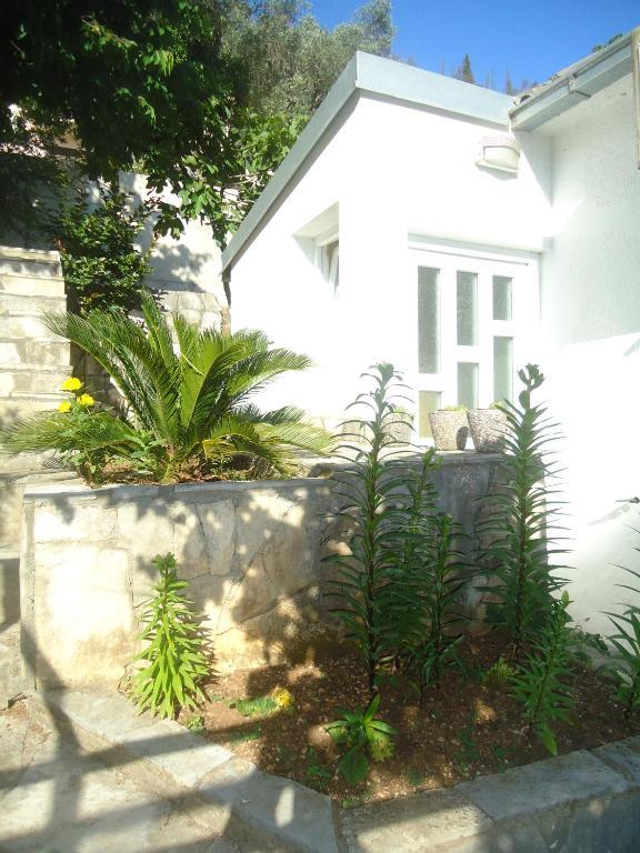 Apartments Villa Petranovic Budva Rum bild