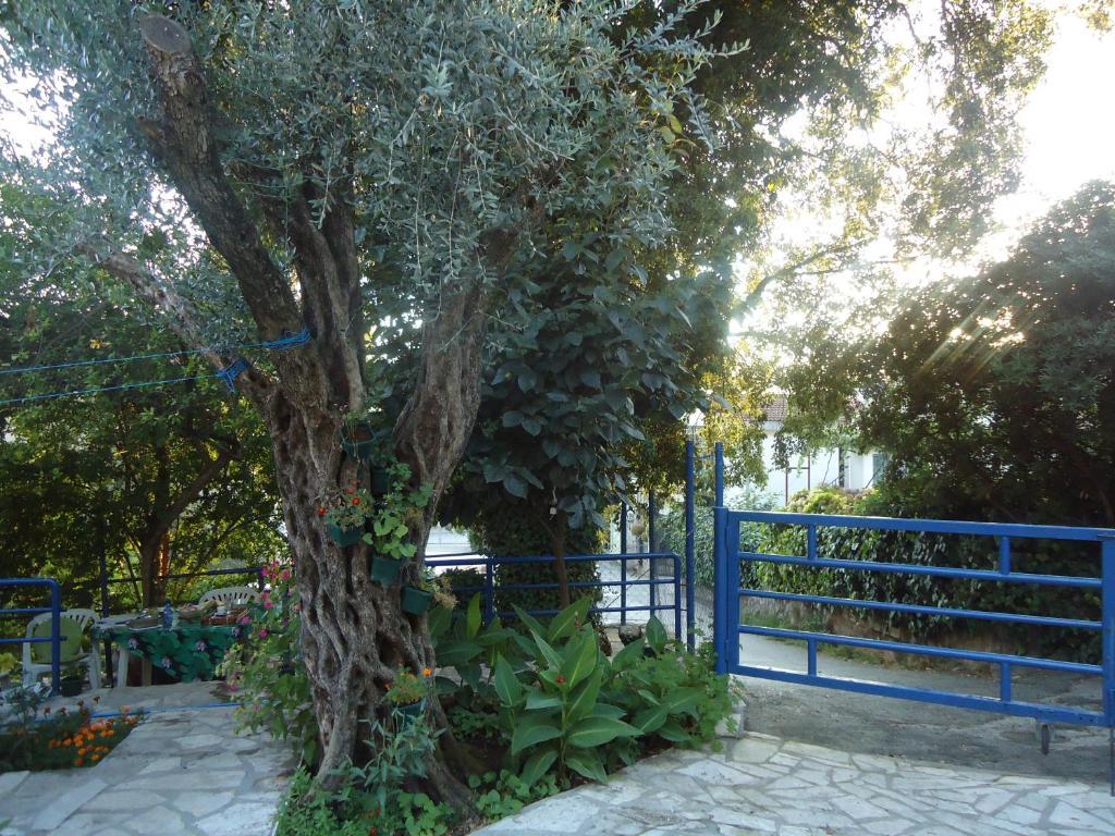 Apartments Villa Petranovic Budva Exteriör bild