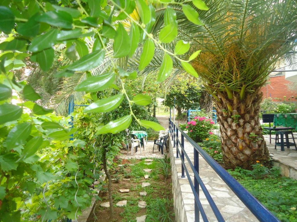 Apartments Villa Petranovic Budva Rum bild